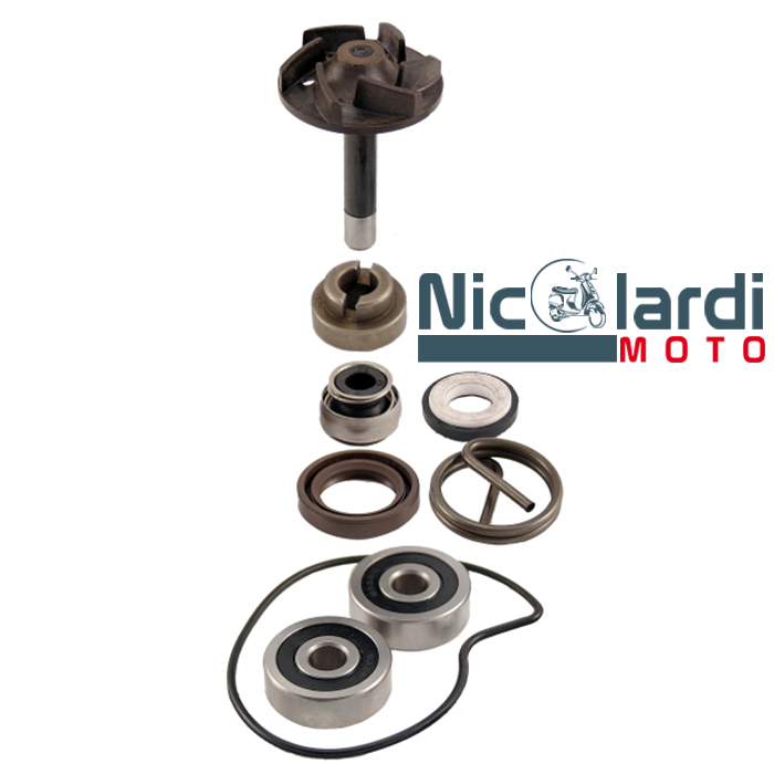 KIT REVISIONE POMPA ACQUA PIAGGIO BEVERLY 250 RST 2004 2005 TIPO