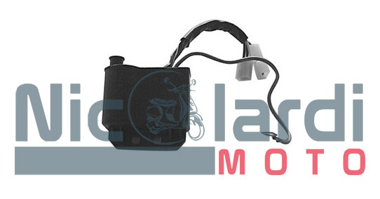 Centraline Ducati Malaguti F10-F12 con cavi