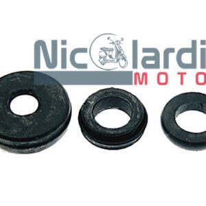 Serie gommini pompa freno Ape TM P602-703 220cc